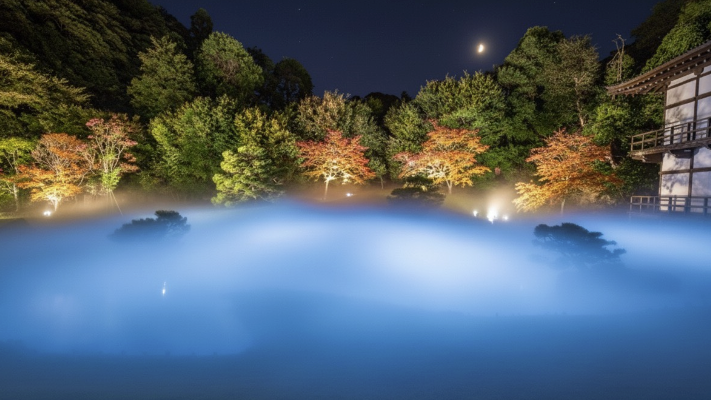方丈庭園：雲海 風龍の舞