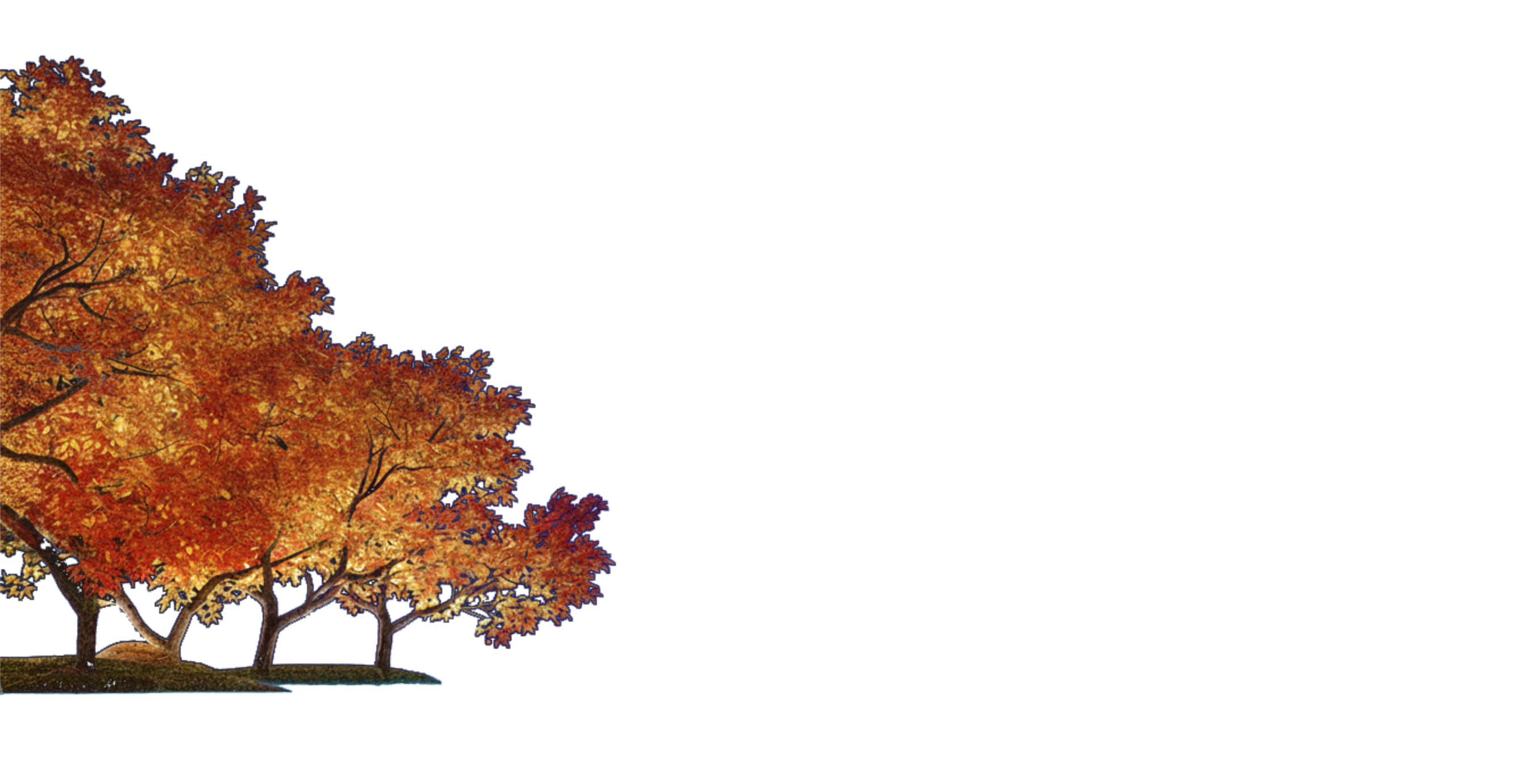 Trees Left